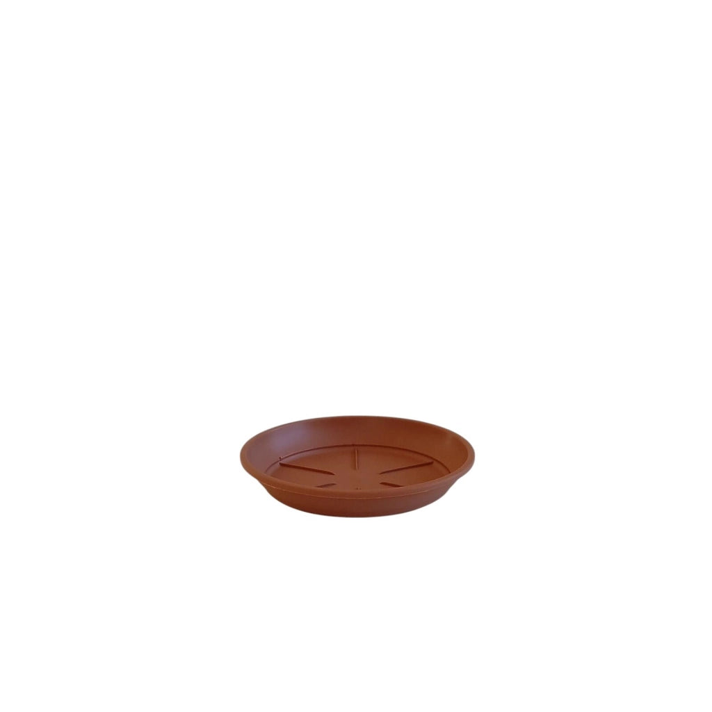SOTTOVASO CRETA D.16XH2,5CM COLOR TERRACOTTA