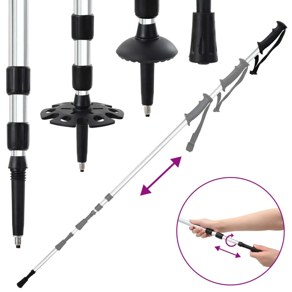 Racchette da neve 3 in 1 con bastoni da trekking Argento e Nero 42021437