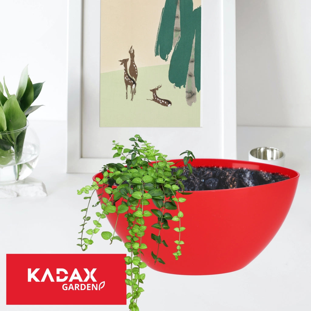 Vaso da fiori KADAX ovale da 21 cm in plastica rossa