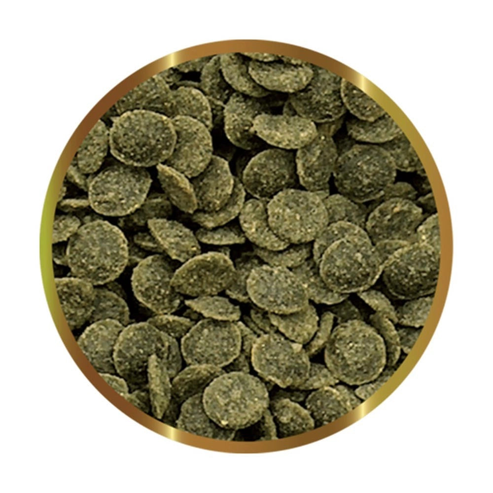 SHG Caridina GreenChips 25gr