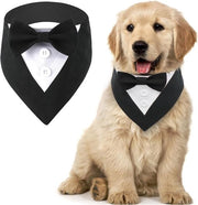 Bandana per cani stilese per matrimoni, compleanni e feste - Adattabile e comodo