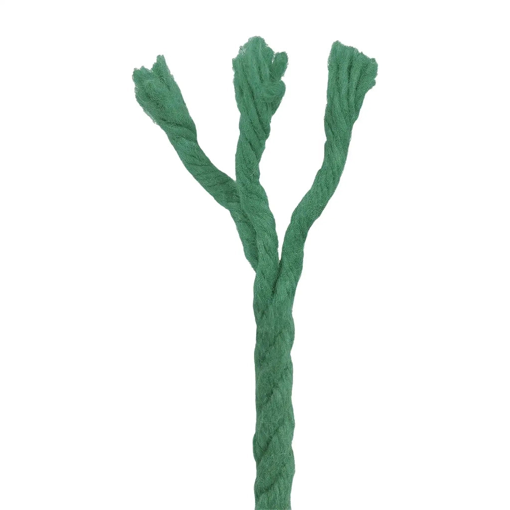 Corda Verde 0,4 x 0,4 x 50000 cm Cotone 42011945