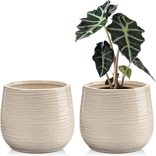 Set di vasi ceramici per piante indoor da 5,5"/14CM - 2 pezzi - Vaso ceramico con fori di drenaggio - Vasi decorativi per succulente e cactus - Piante da appartamento