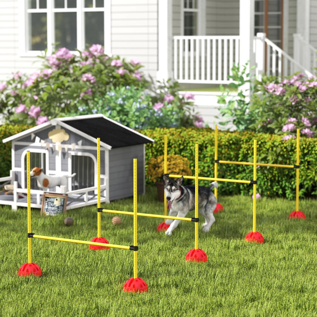 Set Agility per Cani 4 Pezzi ¨C Xylo ¨C con 4 Ostacoli e Borsa per Trasporto, Giallo