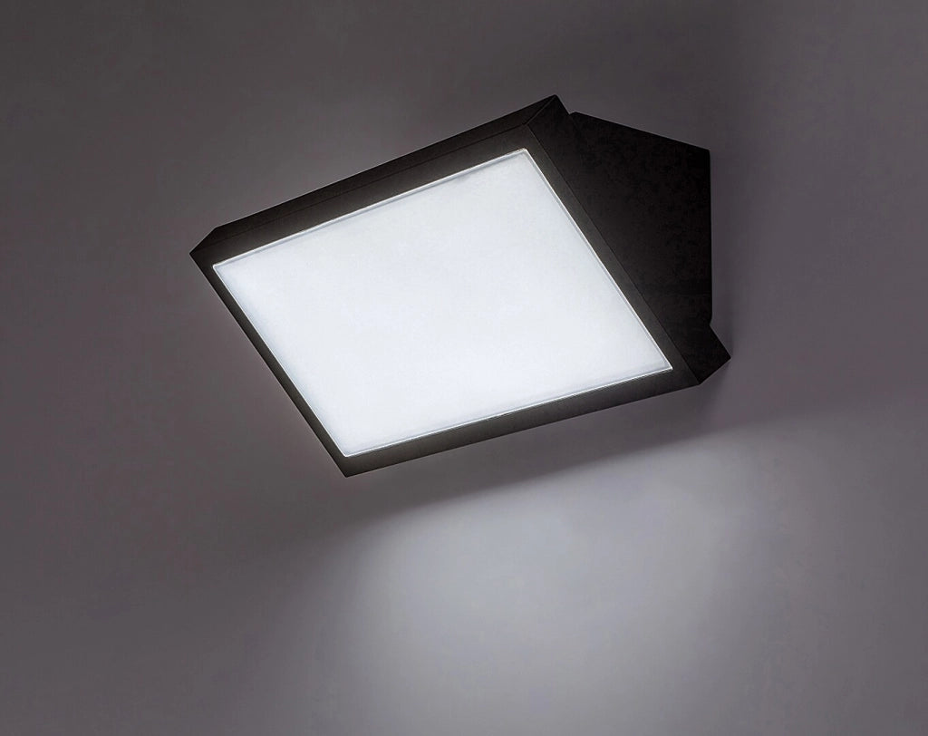 Applique esterna Rabalux Rapla2 nera LED 18W CCT IP65