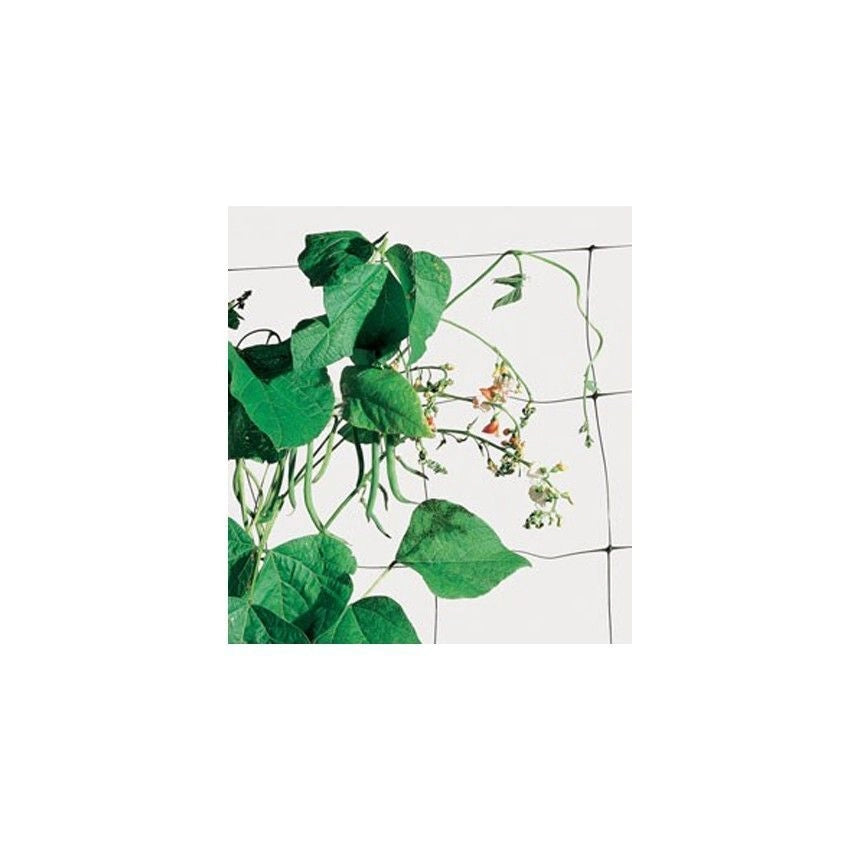 Tenax Rete Plastica Flora Mt 1,50X 10
