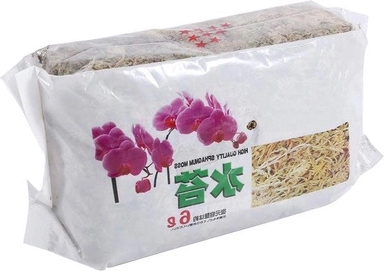 Sfagno per la Phalaenopsis - Eccellente Ventilazione - Giardino Sostenibile per Orchidee.