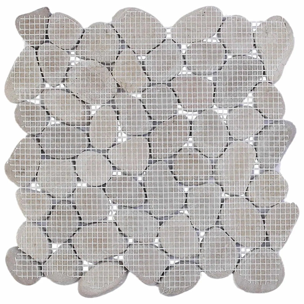 Tortora 30 x 30 cm 42033534
