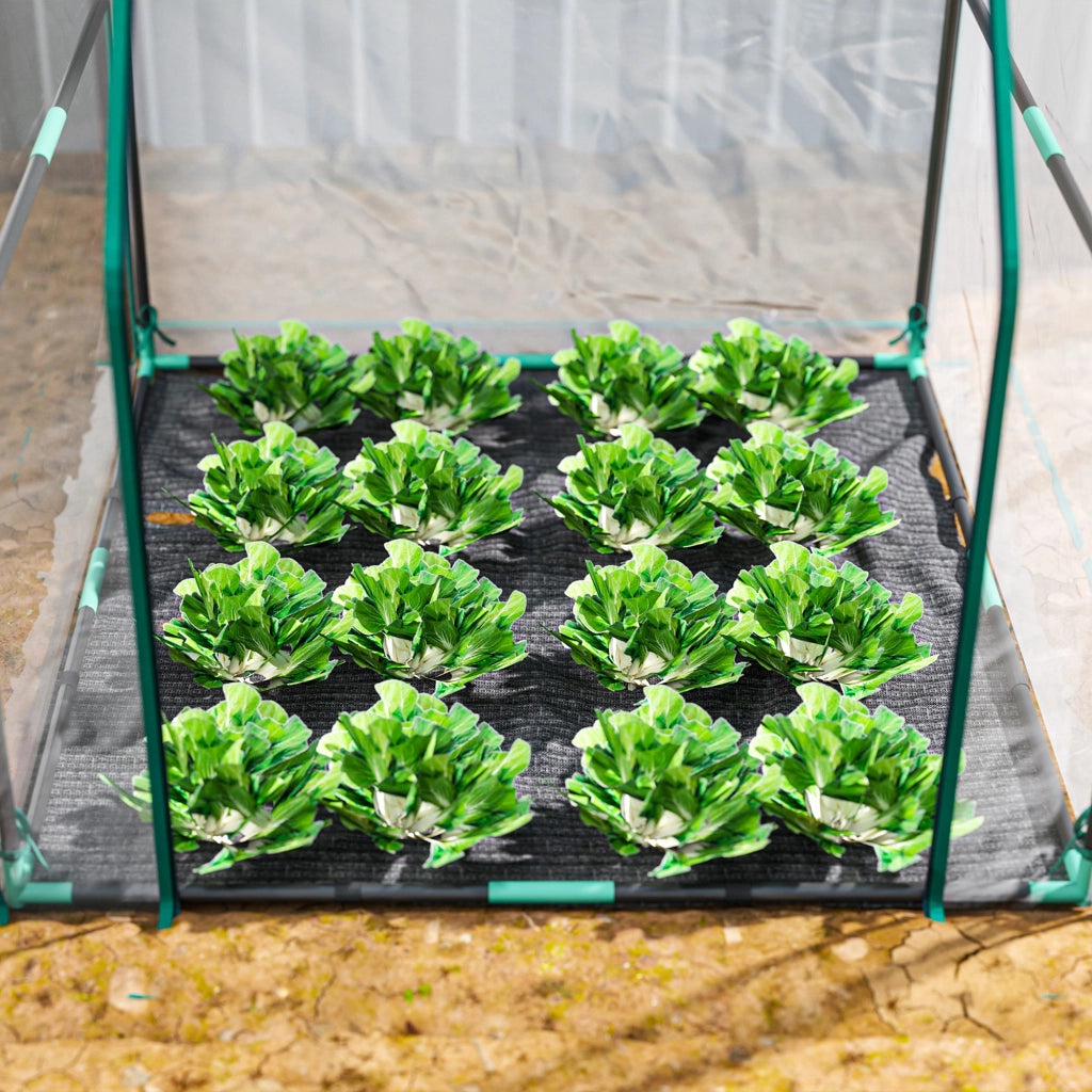 Serra da Giardino ¨C Minimal ¨C 90x90x105 cm Trasparente