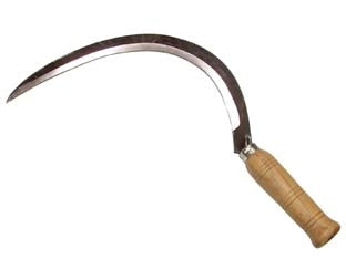 FALCIOLA LISCIA  n°3