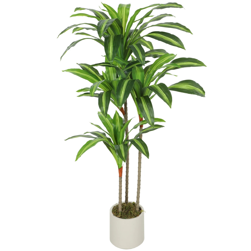 Albero Dracaena Artificiale ¨C Xylo ¨C 120 cm con Vaso Bianco