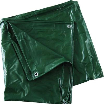 TELONE OCCHIELLATO PVC PESANTE VERDE EFFE  GR/MQ 540 MT 4X6