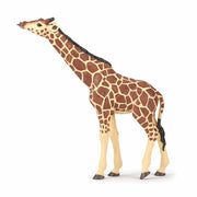 Papo - Giraffe head raised