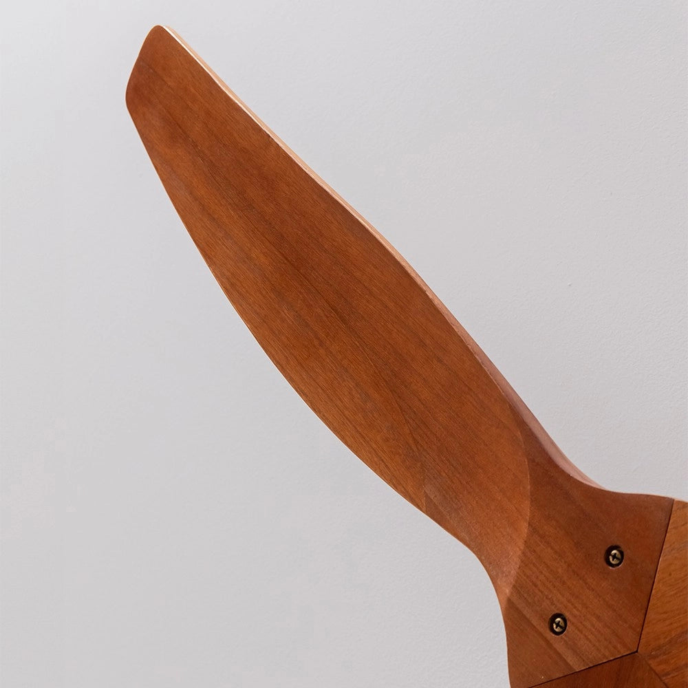 CECOTEC A01_EU01_122163 - EnergySilence 5400 Classic Iron&DarkWood