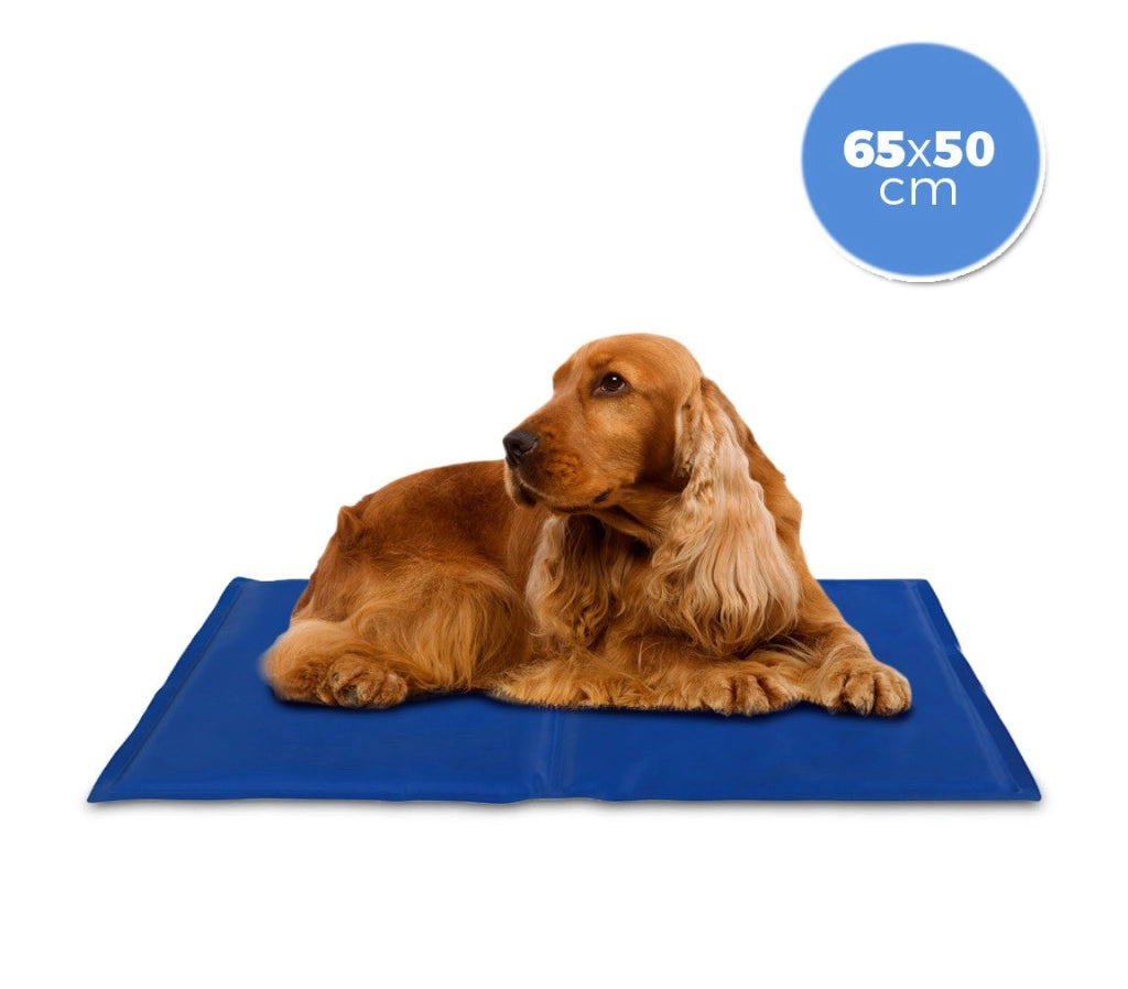 Tappetino 65x50 cm refrigerante con gel rinfrescante per cani taglia media