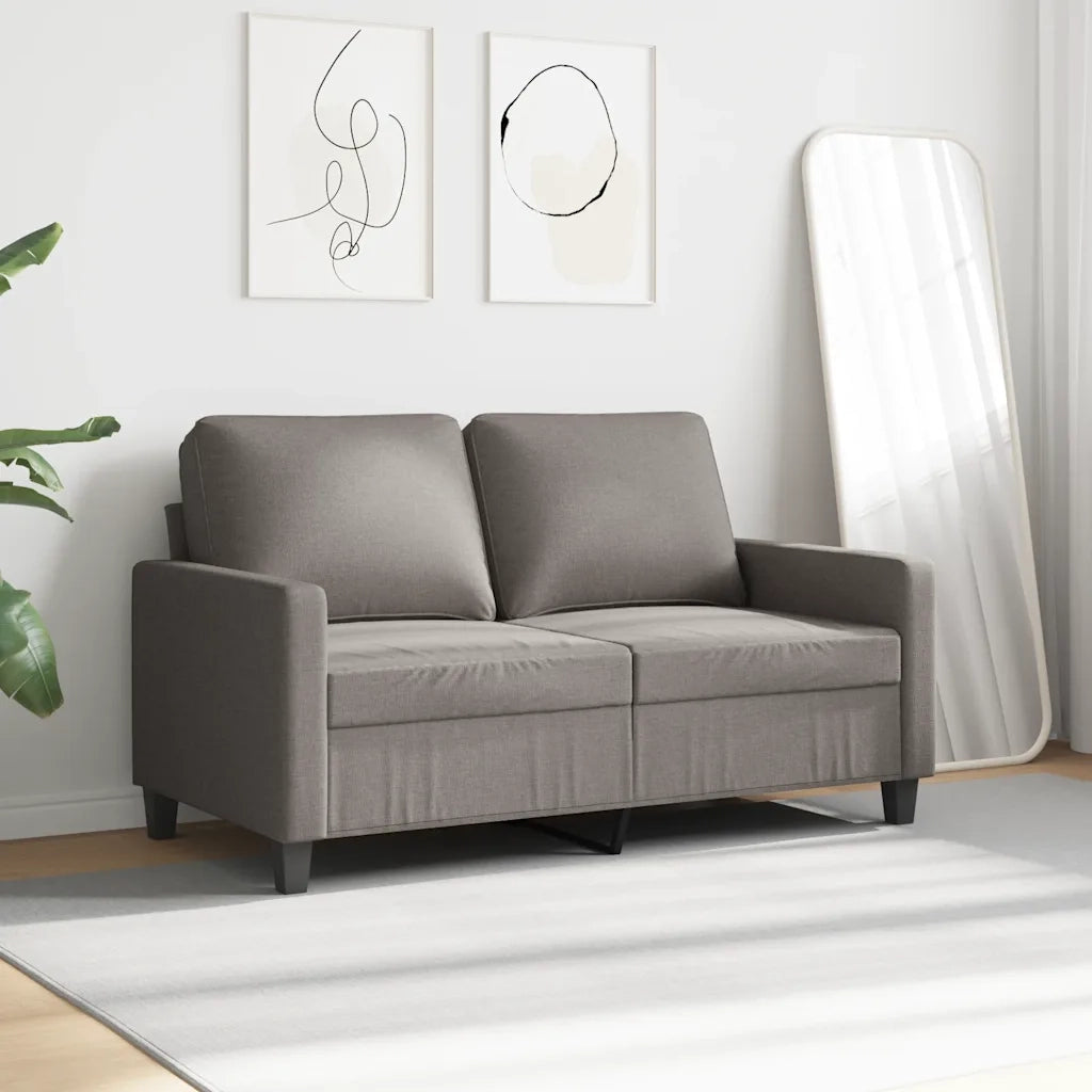 Divano a 2 Posti-Sofa 2 Posti Tortora 120 cm in Tessuto 191289