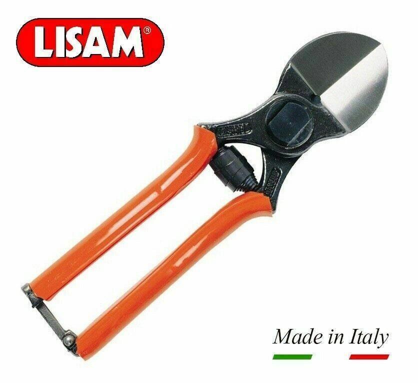 Lisam Forbice Vigna 21cm 3A