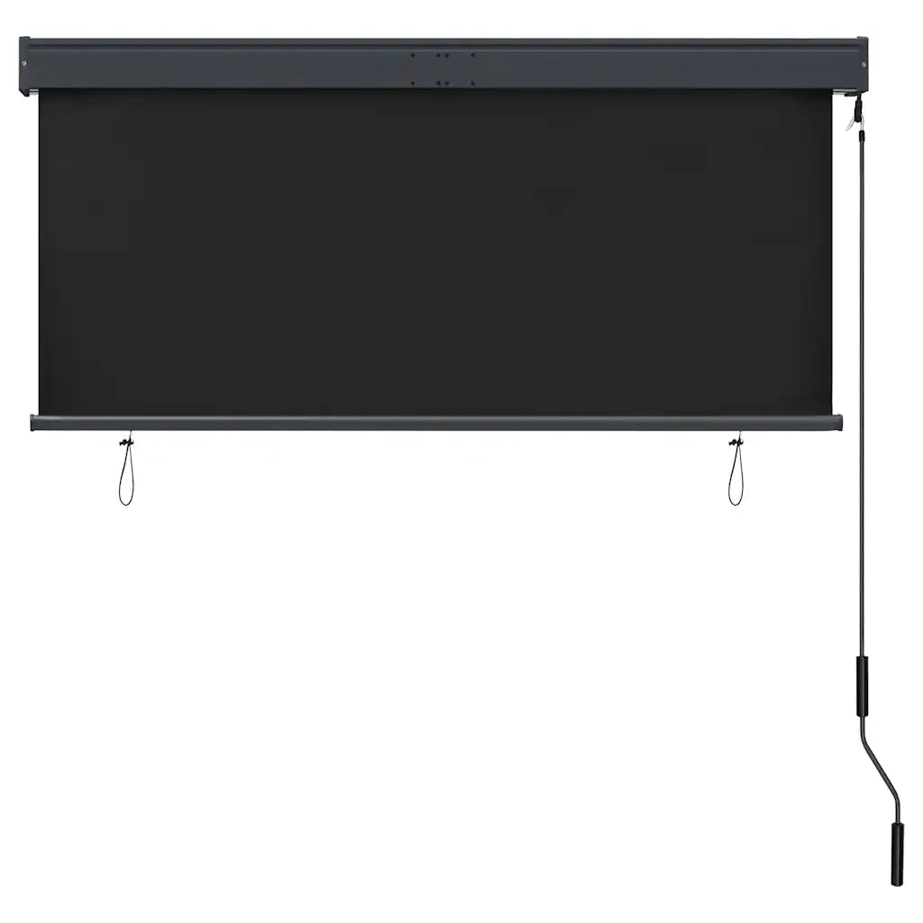 Tenda a Rullo per Esterni 140x250 cm Antracite 145970
