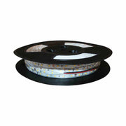 Striscia LED bianco caldo 100m 12V IP20 Eko-Light EKPL521