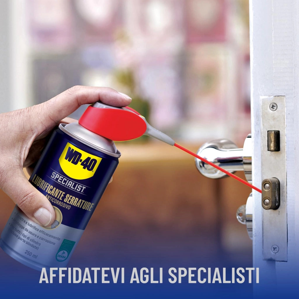 Lubrificante Serrature Spray Wd 40 250 ml