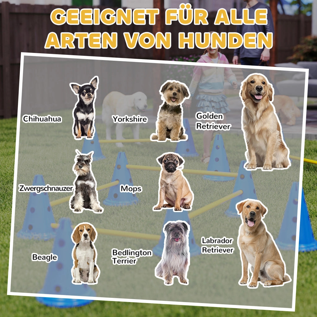 Set Agility per Cani ¨C zephmum ¨C 6 Hurdle 12 Coni Bag