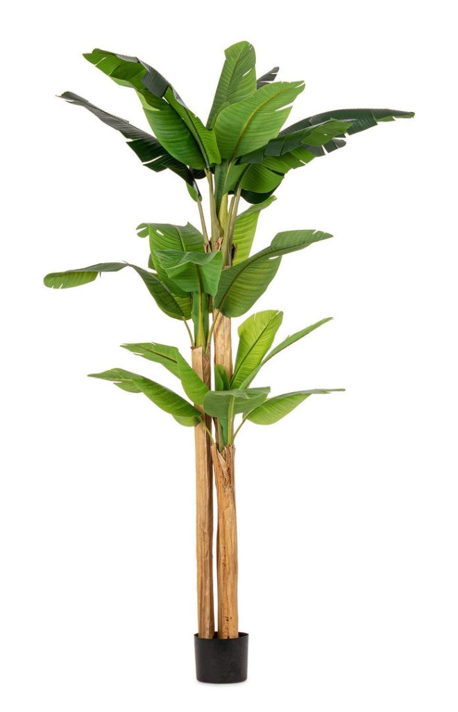 Pianta Artificiale di Banano 170x160x280 cm in Plastica con Vaso Verde