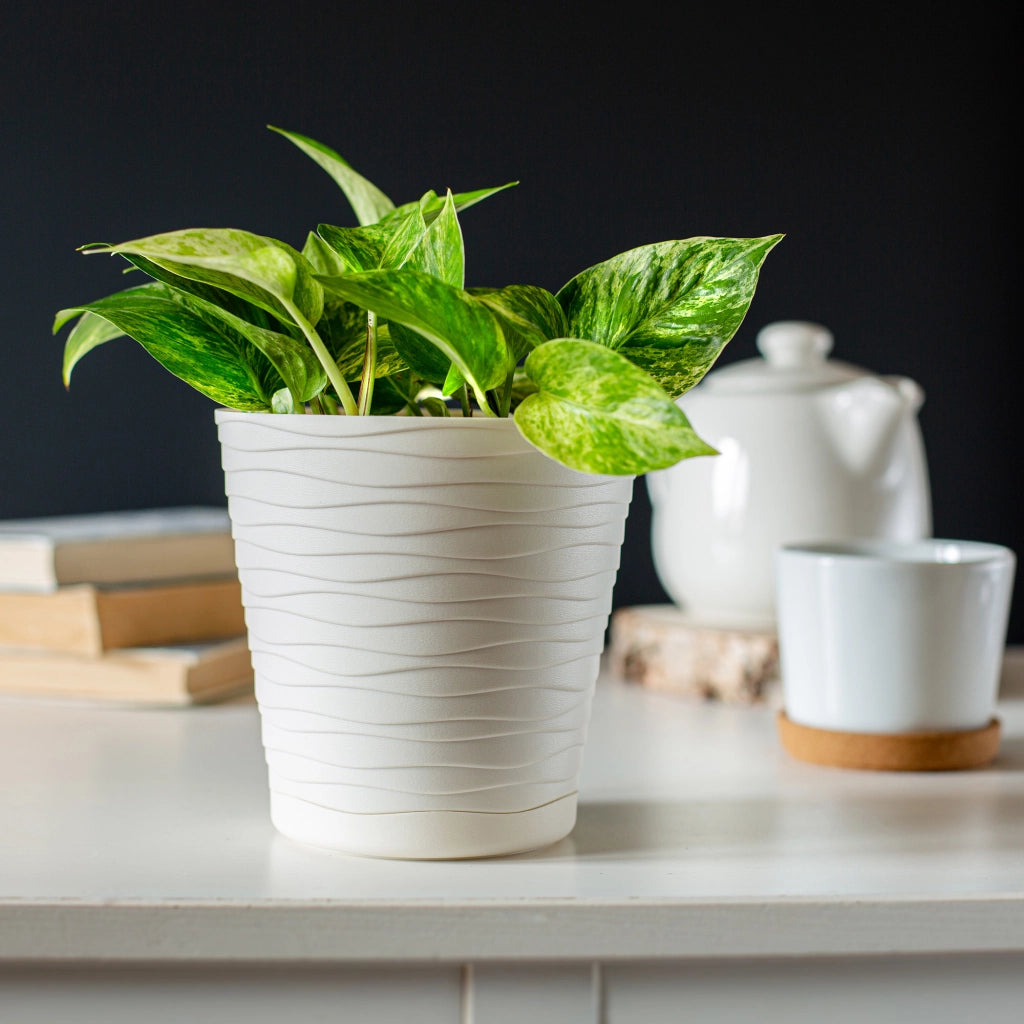 Vaso da fiori KADAX da 19 cm con coperchio e supporto, supporto per fiori in plastica