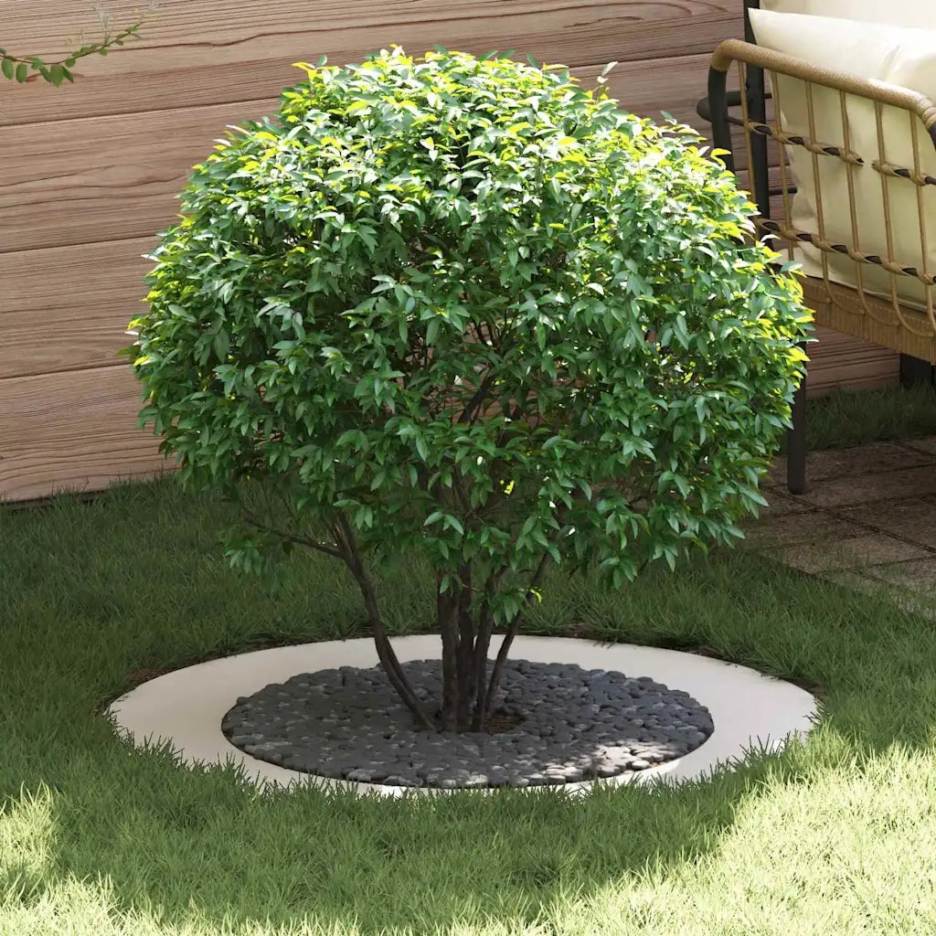 adatto per Anelli d'Albero Piatto 5 pz Bianco ?60 / 90 cm CFW8918312