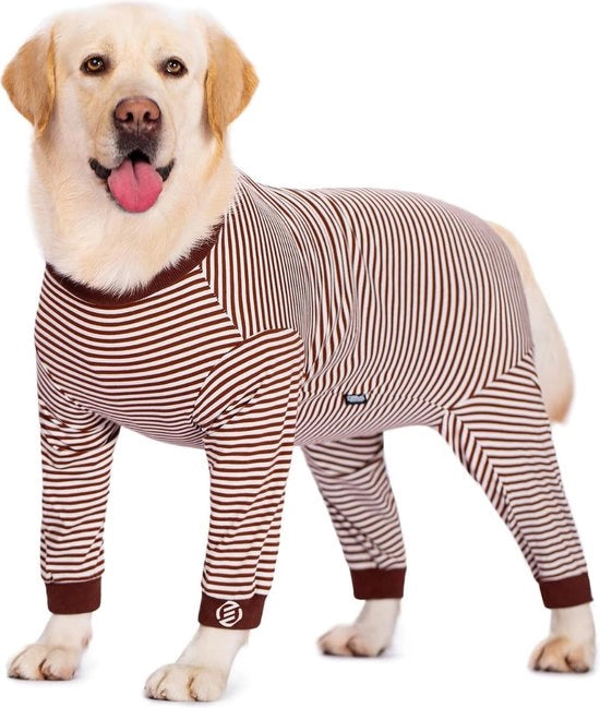 Vestiti da Notte per Cani