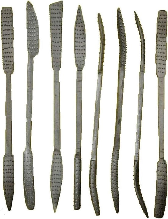 Set di raspa e vanga per legno e pietra calcarea - vanghe e raspe con precisione Raspa