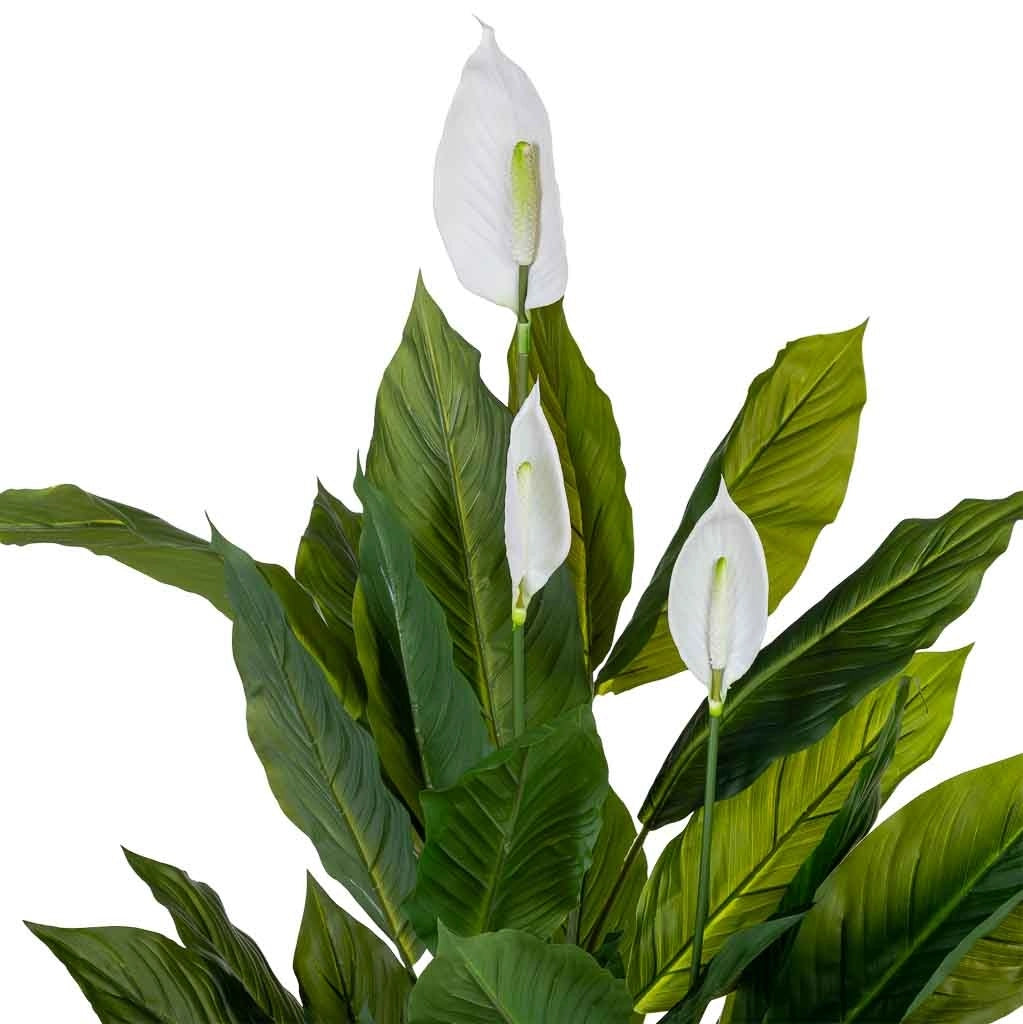 Anthurium artificiale decorativo verde 100x100x125