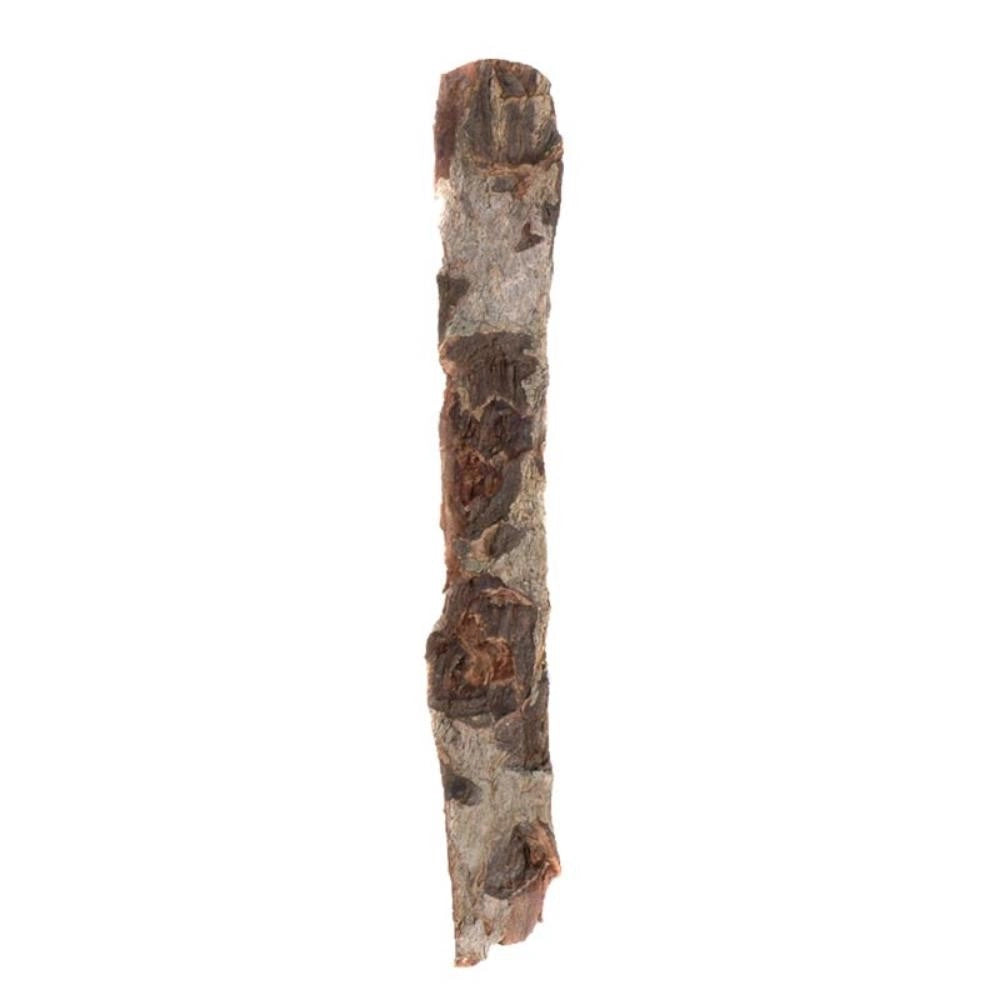 Dennerle 5867 - Catappa Bark Nano - Corteccia di mandorlo indiano