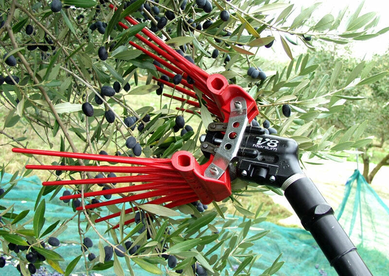Abbacchiatore pneumatico Lisam V8 TITANIUM 2000 bpm per la raccolta delle olive
