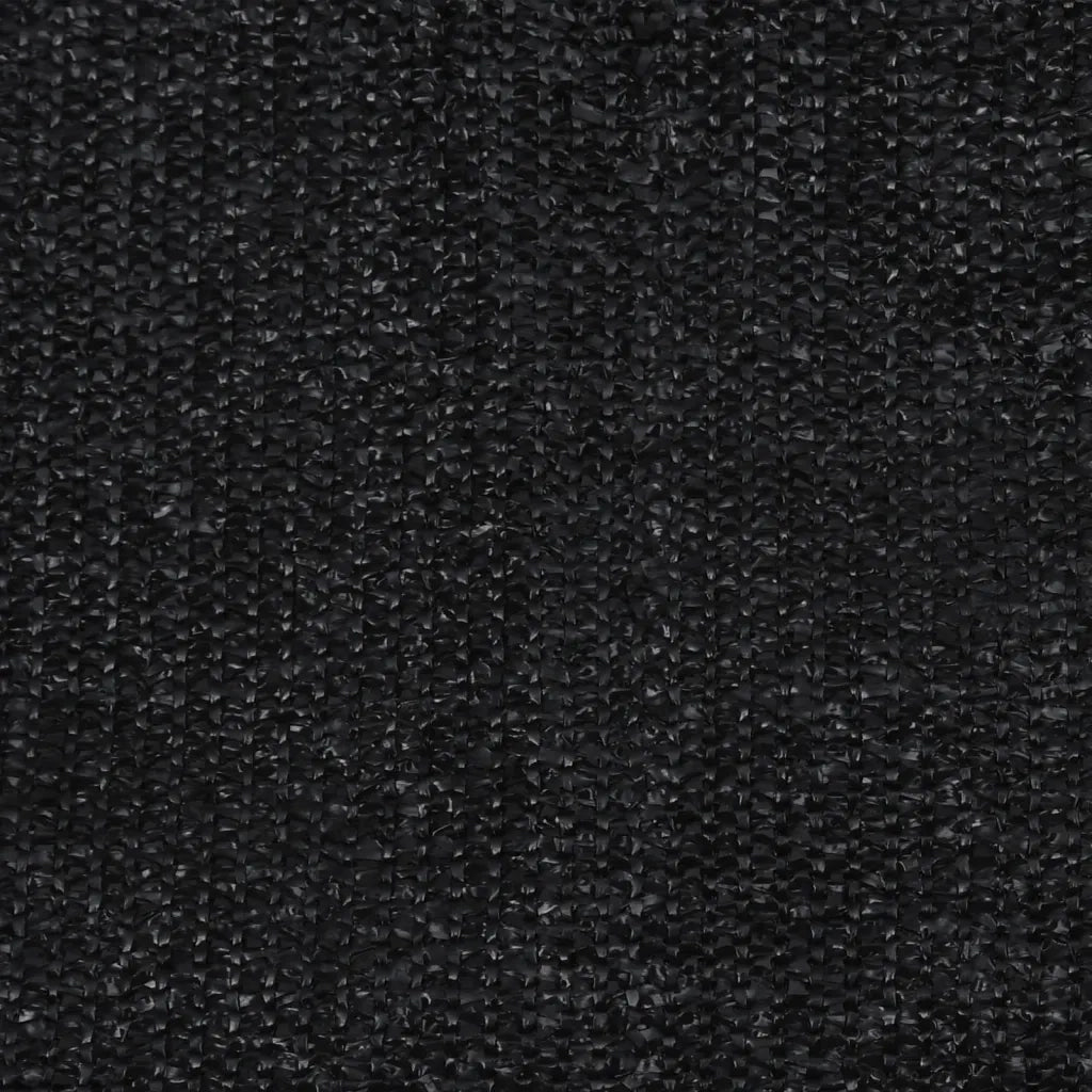 Tenda a Rullo per Esterni 65(L)x230(A) cm in HDPE nero 312952