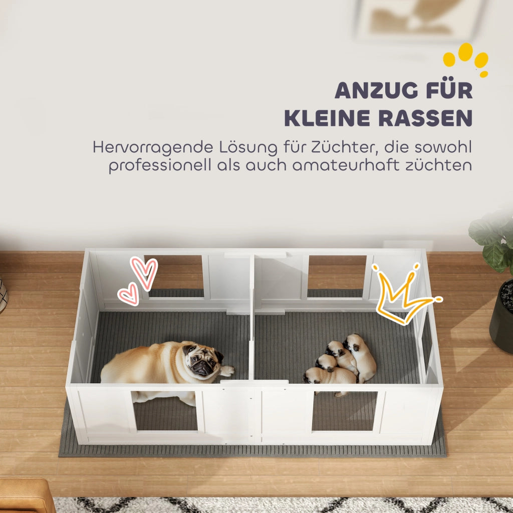 Box per cani ¨C Minimal ¨C 2 ambienti, pannelli trasparenti