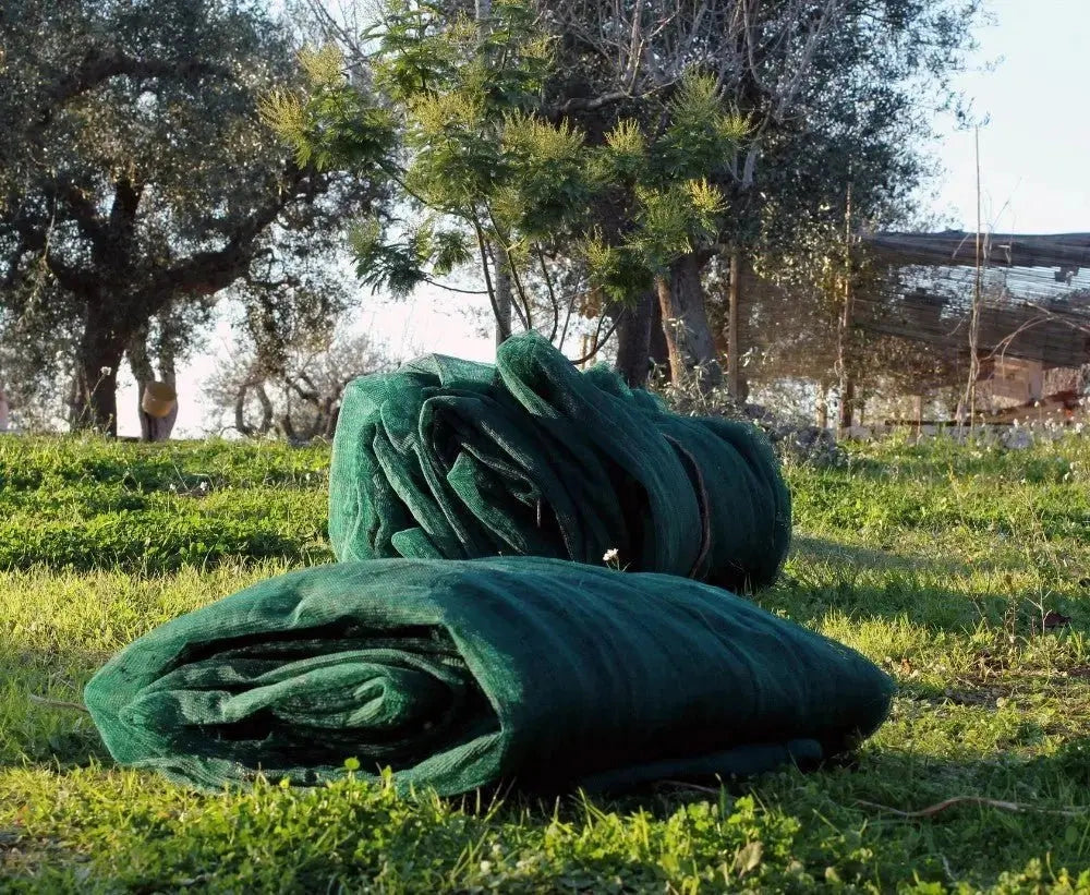 Rete antispina olive occhiellata Taglia: 4 X 6