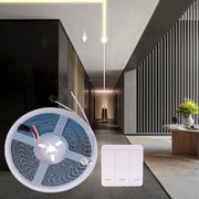 Striscia Led Luminosa light running cammina 24V da 5mt 59 Watt con controller LUCE CALDA 3000K