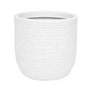 Conchino rigato Shabby Cori bianco perla 35 cm