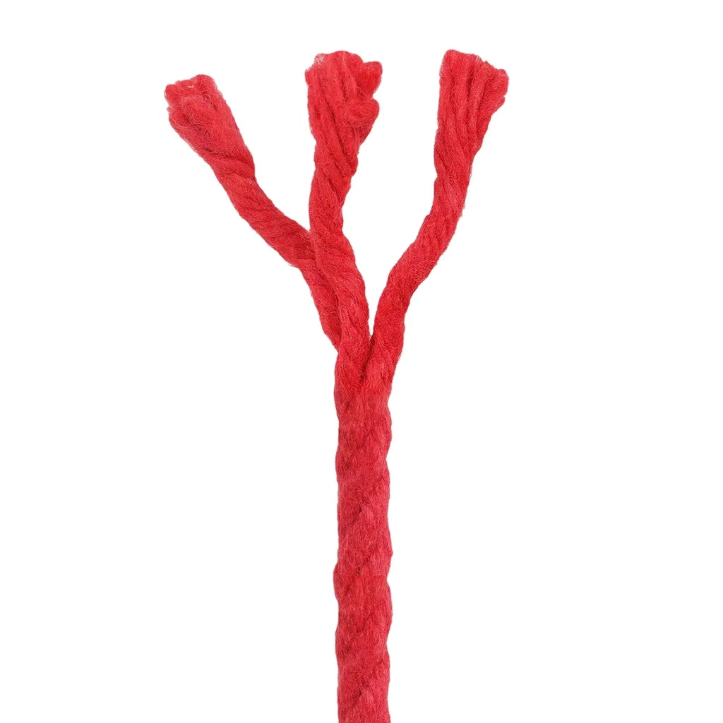 Corda | Fune Rosso 0,4 x 0,4 x 25000 cm Cotone