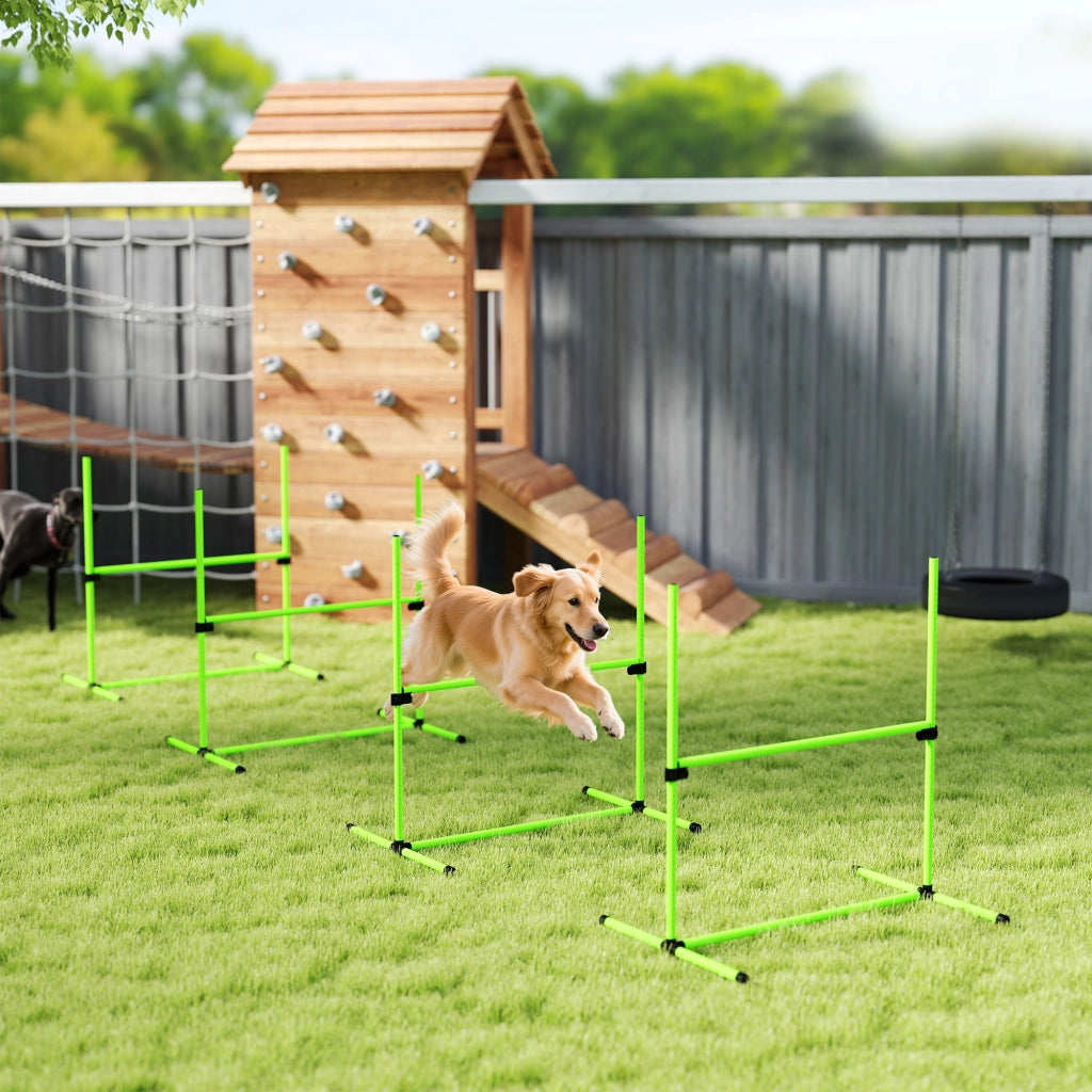 Set Agility per Cani ¨C Minimal ¨C Verde 99x65x94 cm