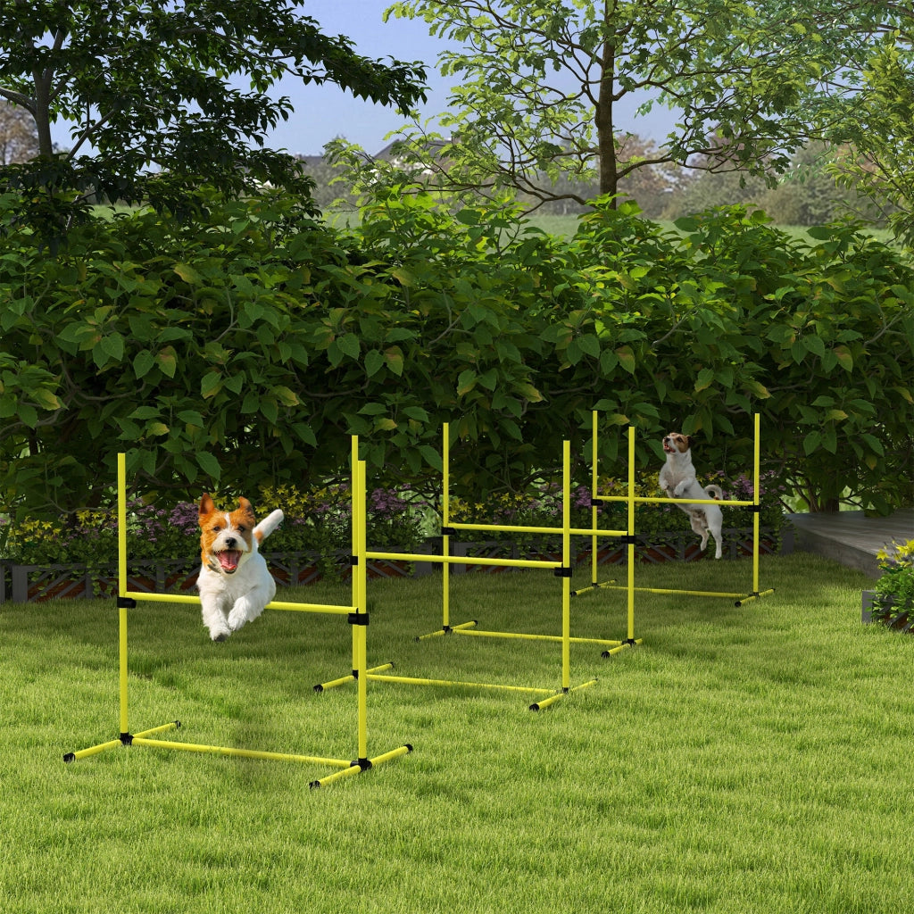 Set Agility per Cani con Ostacoli e Slalom ¨C Xylo ¨C Giallo con Borsa