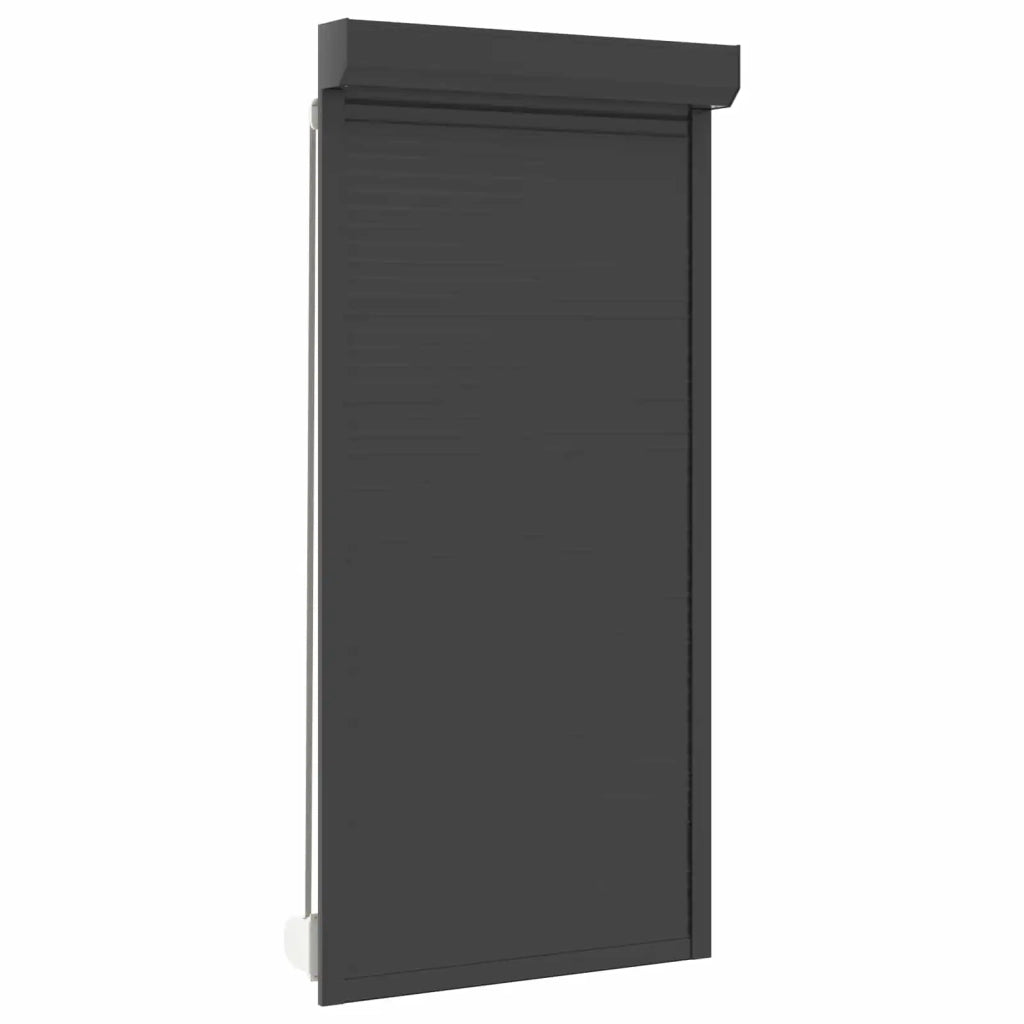 Persiana a rullo Antracite 100 x 210 cm Alluminio e poliuretano 42047068