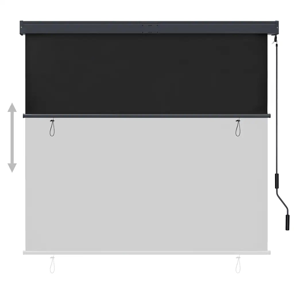 Tenda a Rullo per Esterni 160x250 cm Antracite 145976
