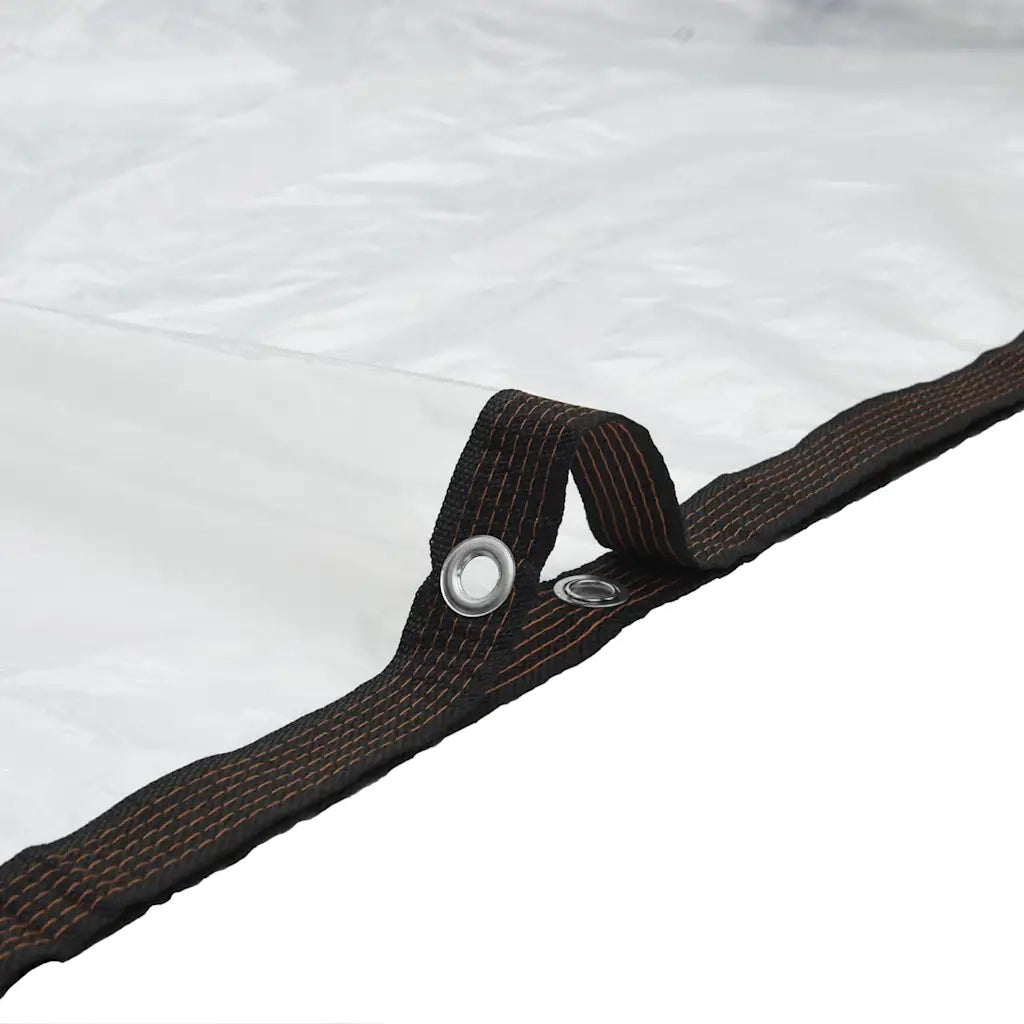 Telone Trasparente con Occhielli 1x6 m in Polietilene 4018543