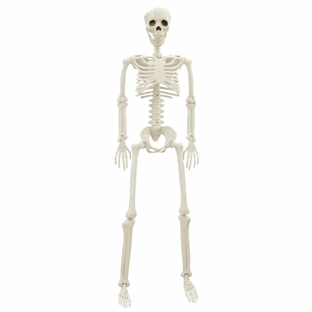 Scheletro di Halloween 2 pz Bianco 85 cm PVC CFW1157158