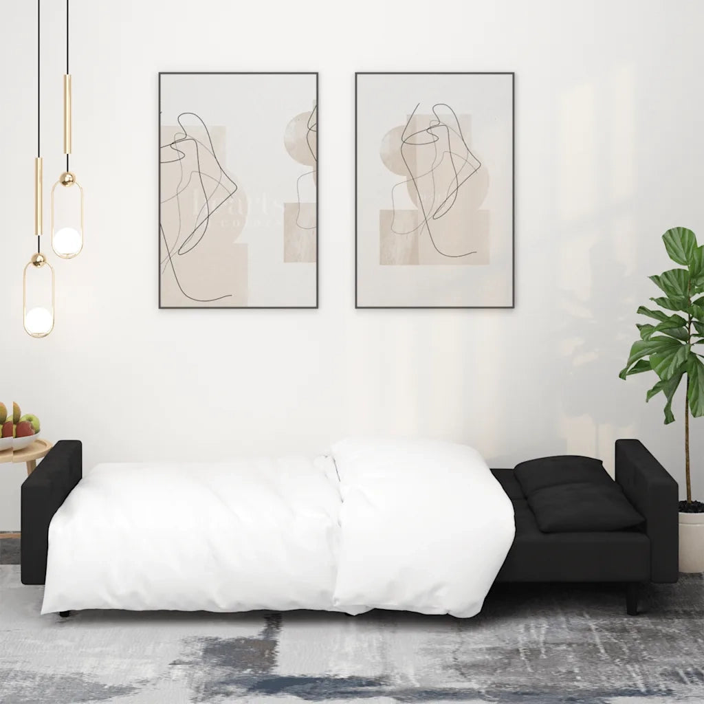 Divano Letto a 2 Posti con 2 Cuscini-Sofa Letto 2 Posti-Daybed Nero in Velluto 907088