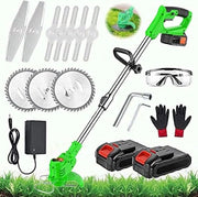 Accu e caricatore per boschese elettrica 650W 21V 30cm