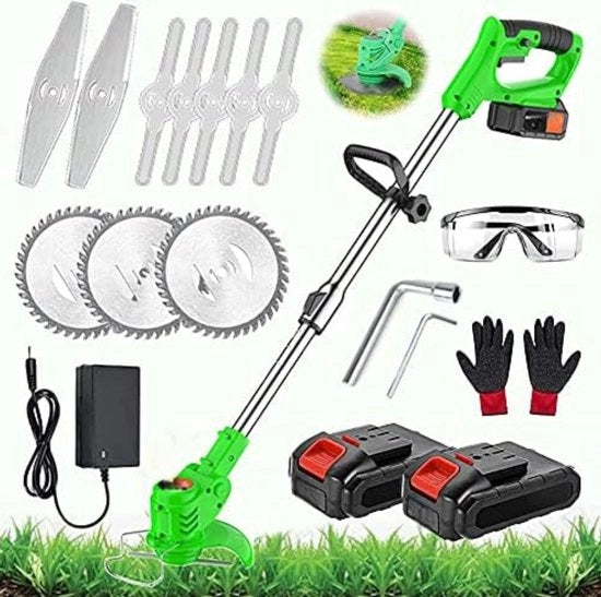 Accu e caricatore per boschese elettrica 650W 21V 30cm