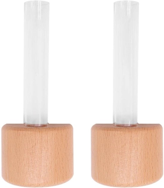 Kit di coltivazione per piante da interno - Set di 2 - Sostegno magnetico per piante - Vaso in vetro/magnetico - Materiale legno/plastica - Design semplice - Aggiunta discreta