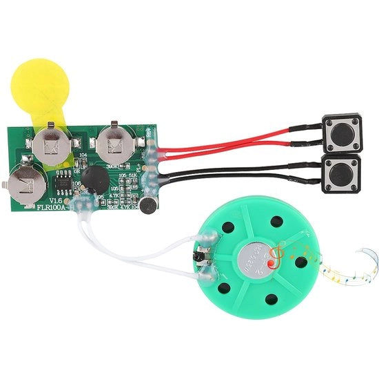 Cartoline di Buon Tardo - Modulo di Voce - Registrazione Audio - 120 Secondi di Musica - Compacto - Registratore di Voce - Ideale per Crea